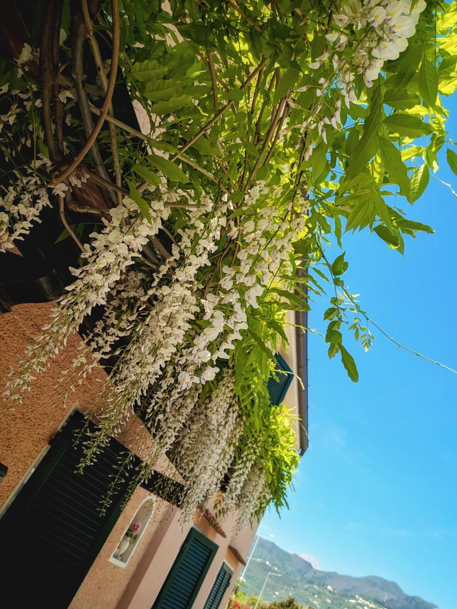 مبيت وإفطار بيتراسانتا La Bugneta المظهر الخارجي الصورة